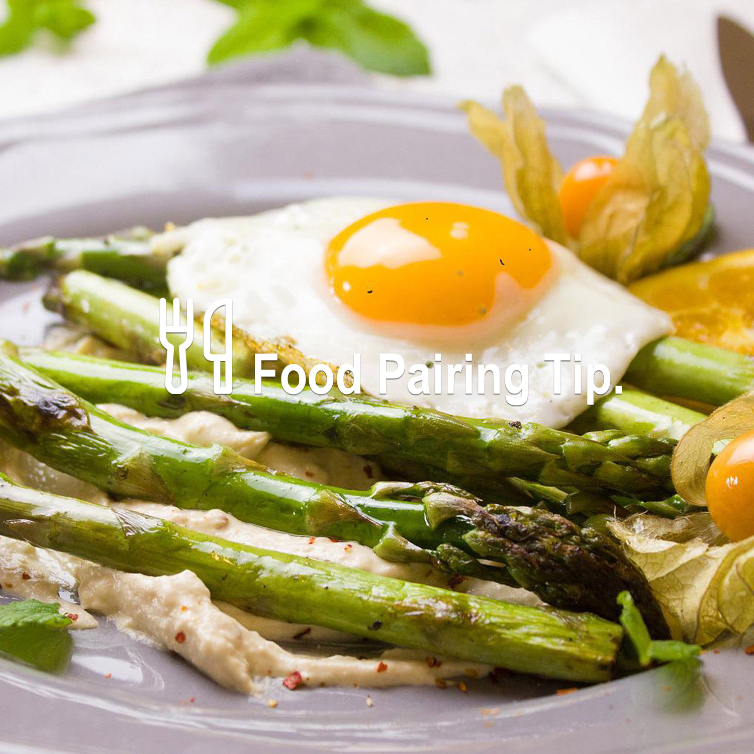 Passendes Essen zum köstlichen Wein Passendes Essen zum köstlichen Wein