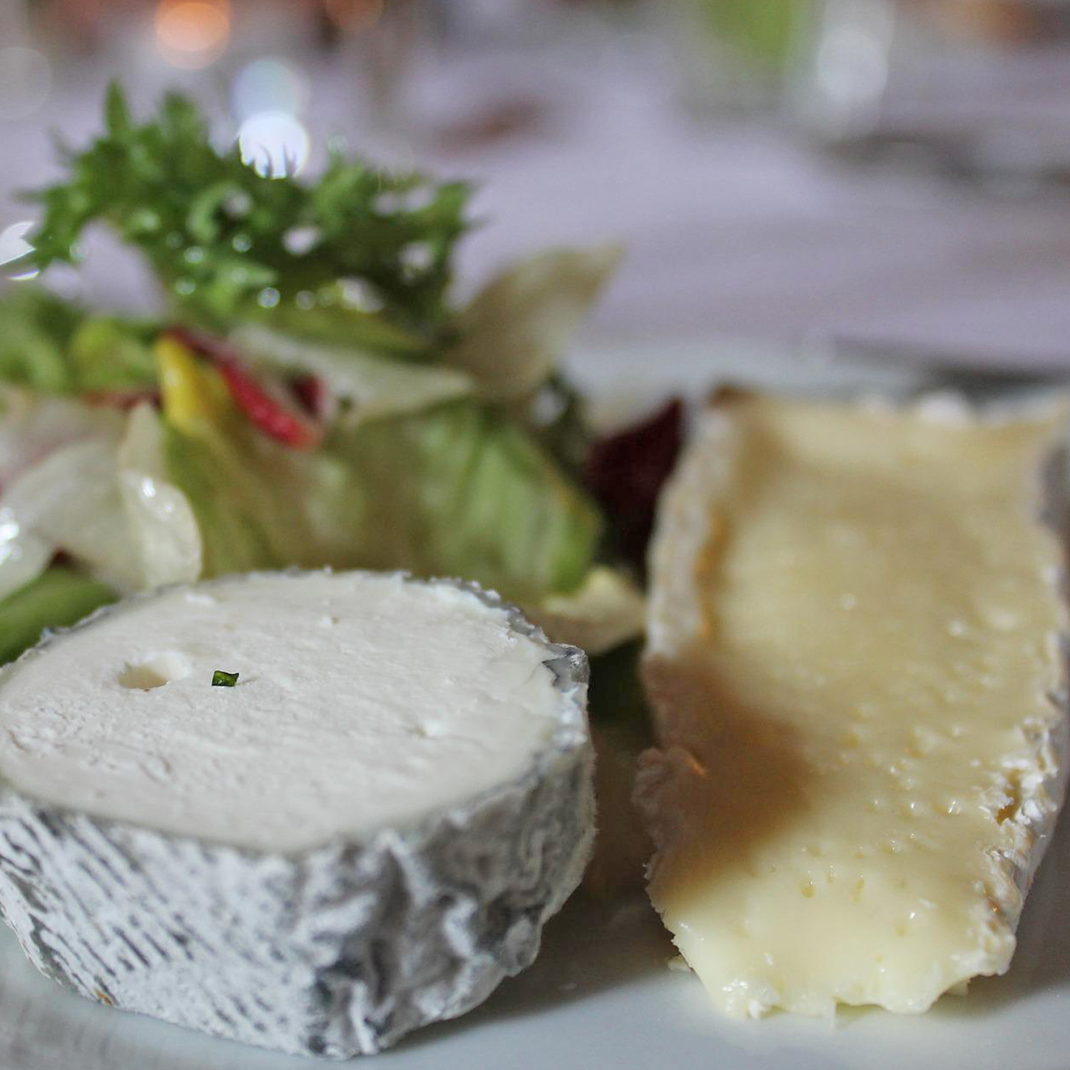Käseteller als Weinbegleitung Käseteller als Weinbegleitung