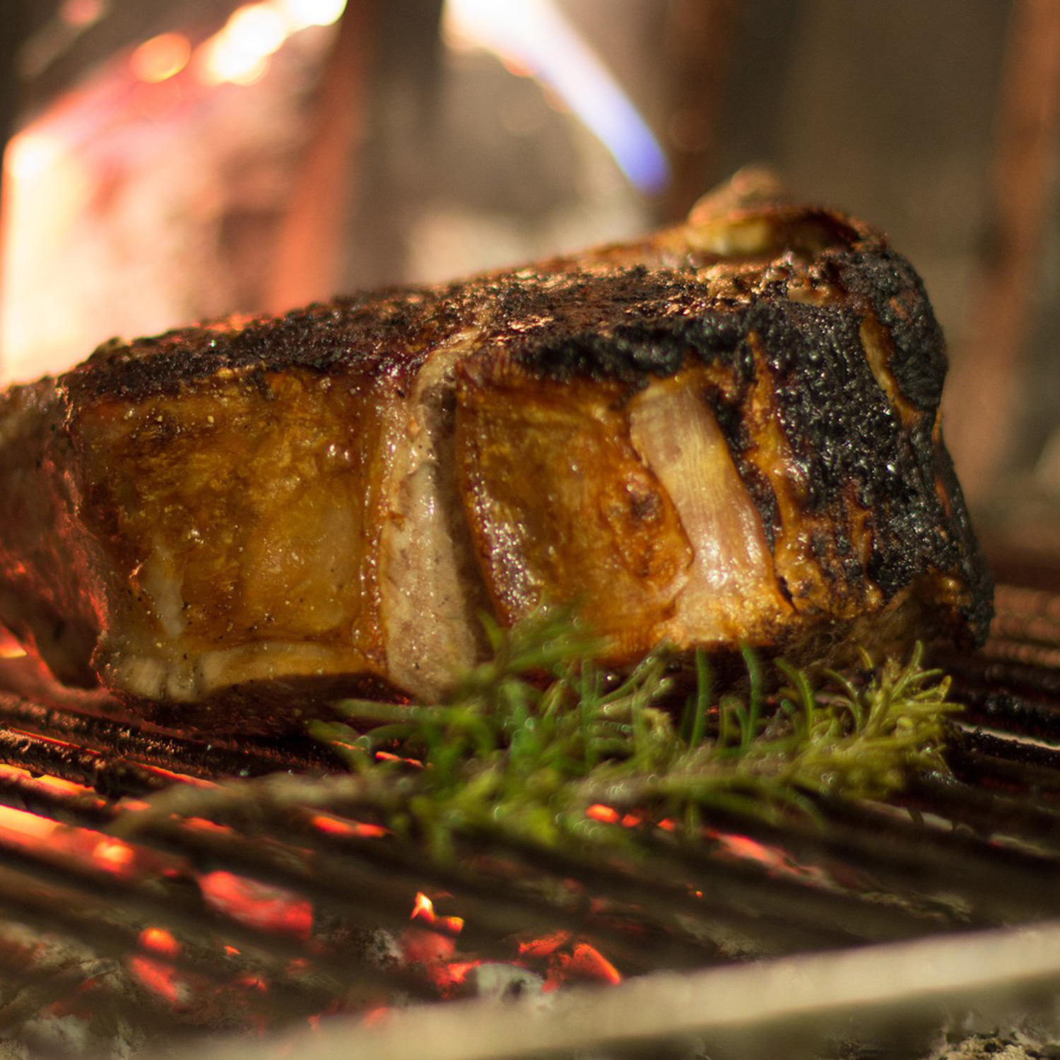 Passt gut zu Fleisch (dunkel) Passt gut zu Fleisch (dunkel)