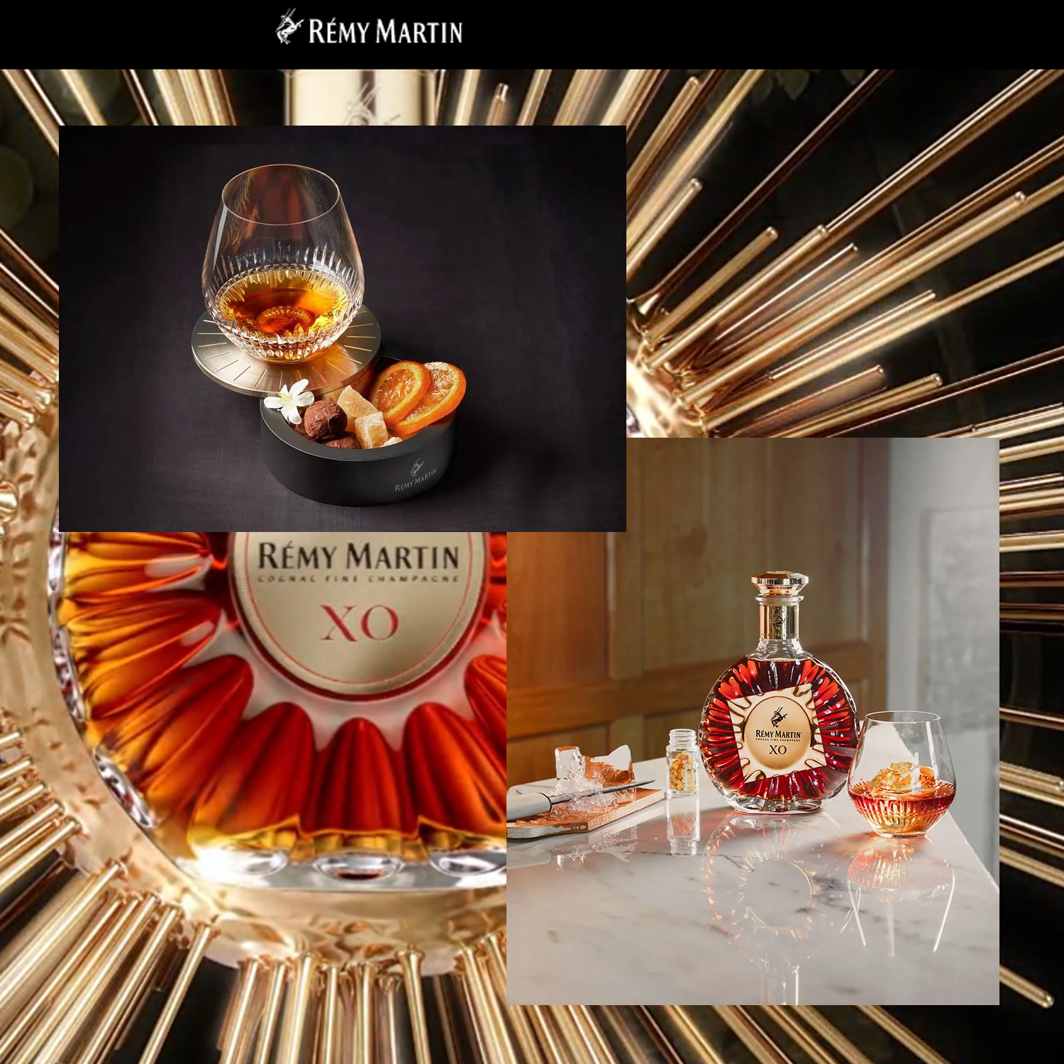 Remy Martin XO
