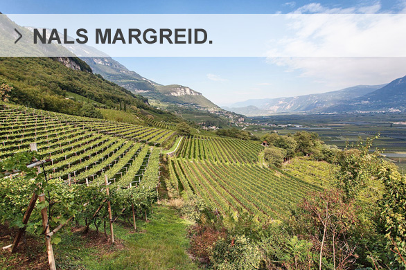 Weine Kellerei Nals Margreid Weine Kellerei Nals Margreid
