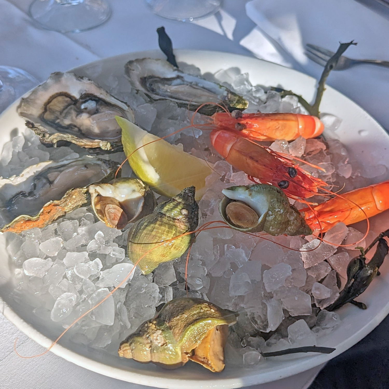 Passendes Essen  Passendes Essen