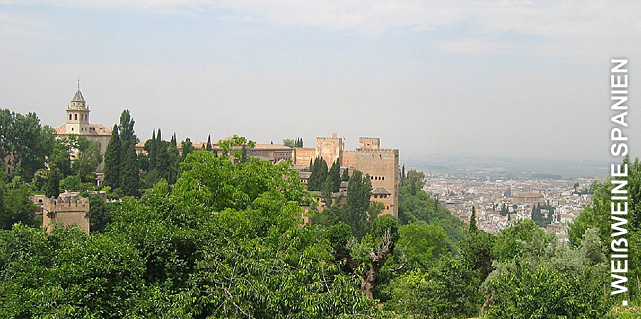 Weißweine aus Spanien