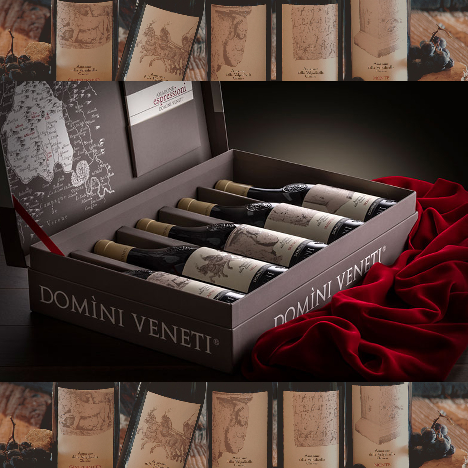 5 CRUS Amarone della Valpolicella DOCG Classico Espressioni 2015 Domini Veneti
