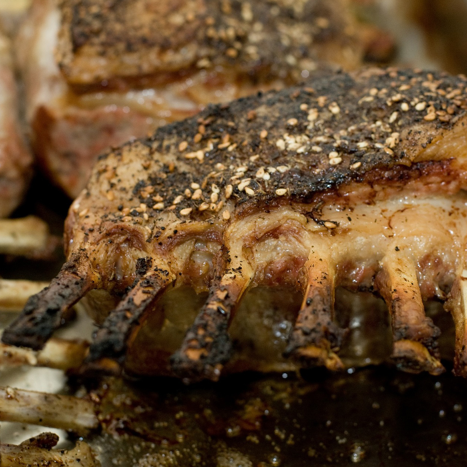 Food Pairing Tipp Food Pairing Tipp