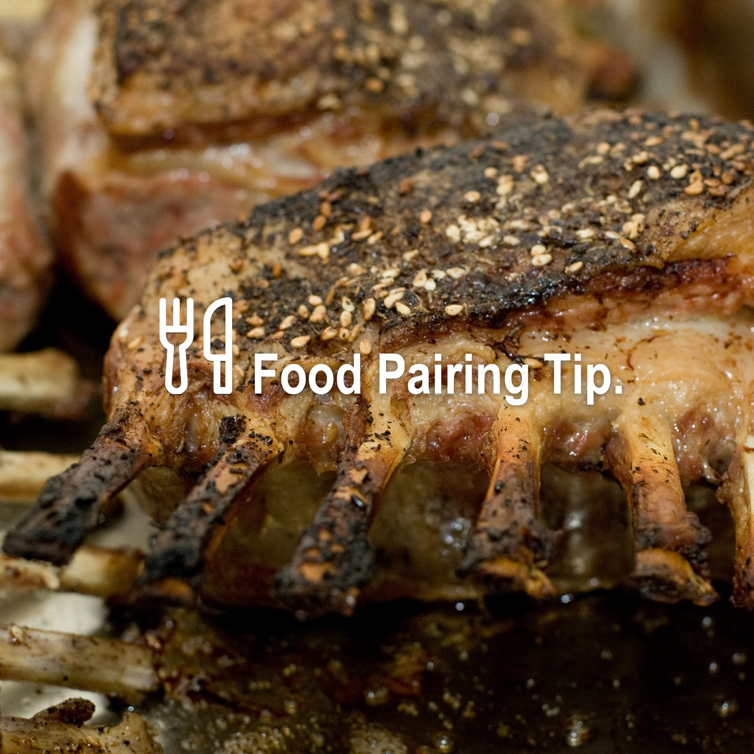 Food Pairing Tipp Food Pairing Tipp