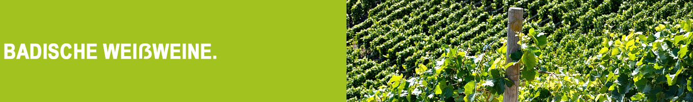 Badische Weißweine bei Vinum Nobile Badische Weißweine bei Vinum Nobile