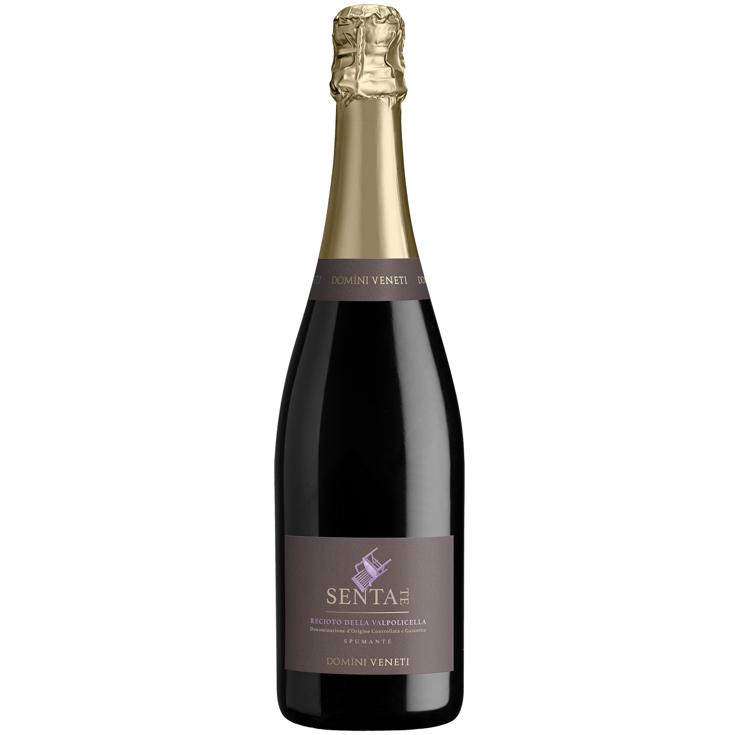 Domini Veneti Séntate Recioto della Valpolicella DOCG