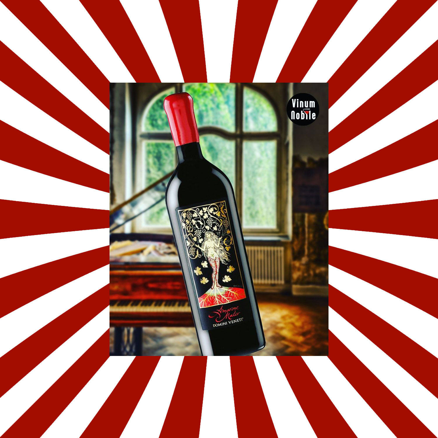 Domini Veneti Amarone Mater 2012 Domini Veneti Amarone Mater 2012