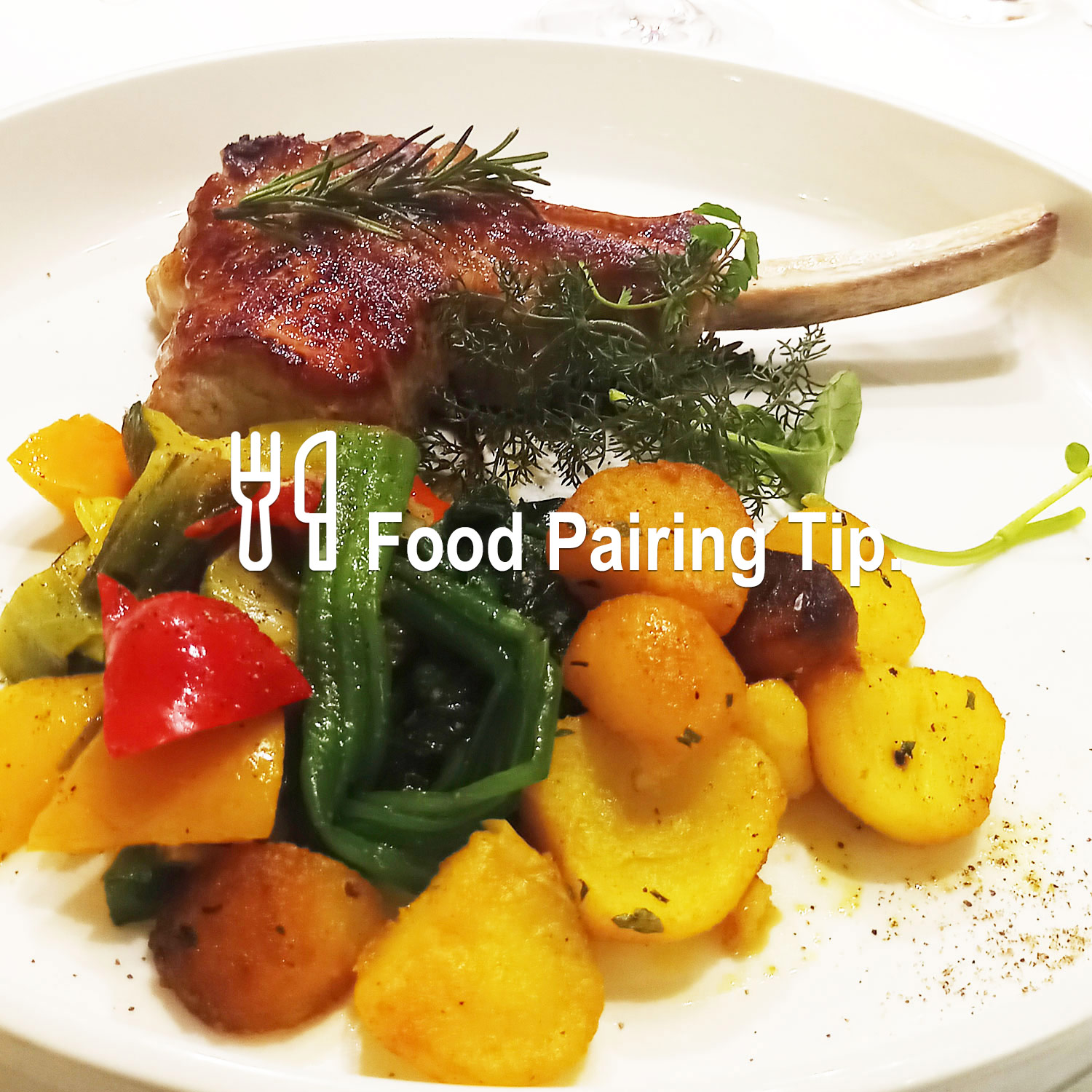 Passendes Essen zum köstlichen Wein Passendes Essen zum köstlichen Wein
