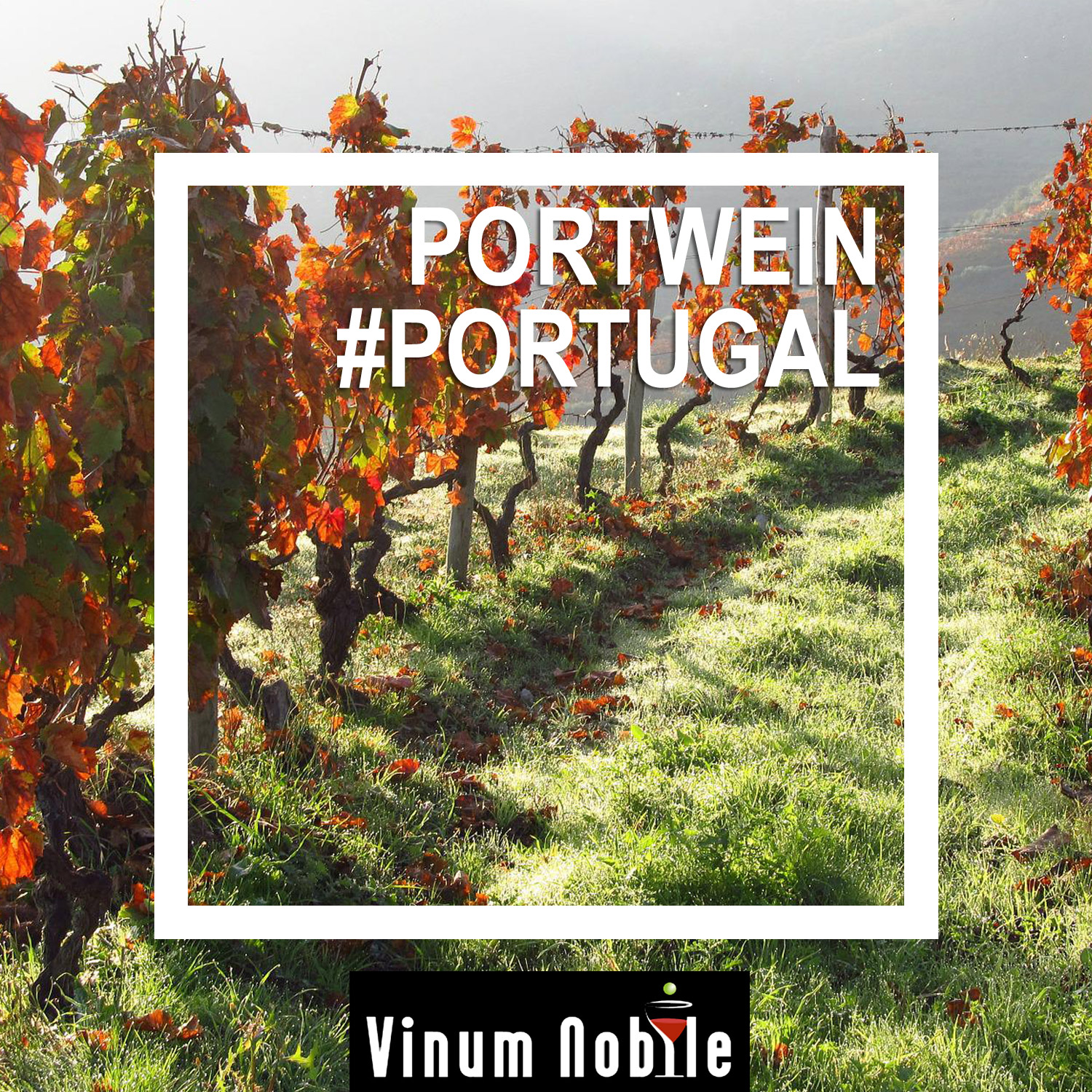 Enjoy the best moments Enjoy the best moments