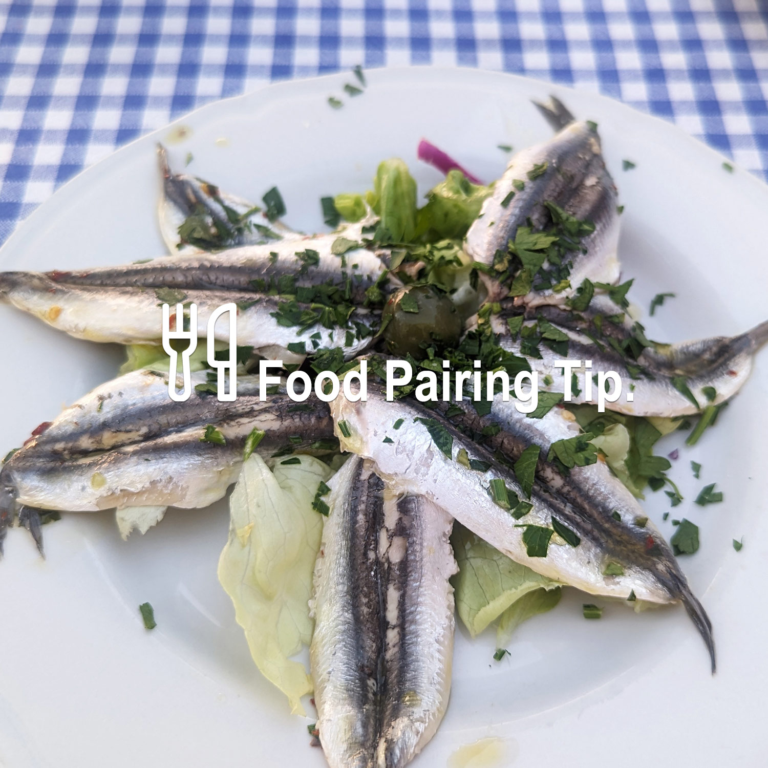 Passendes Essen zum köstlichen Wein Passendes Essen zum köstlichen Wein