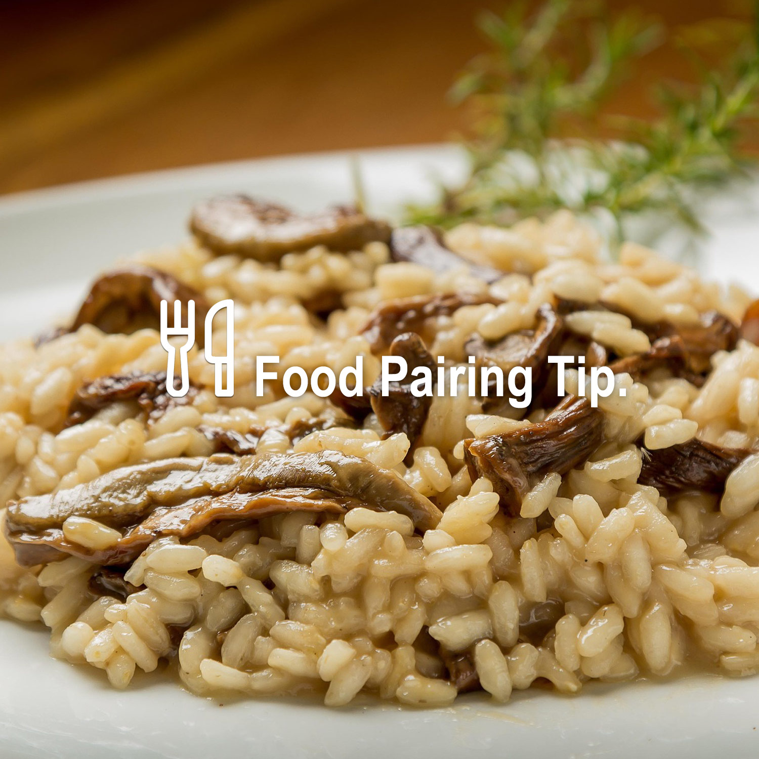 Food Pairing Tipp Food Pairing Tipp