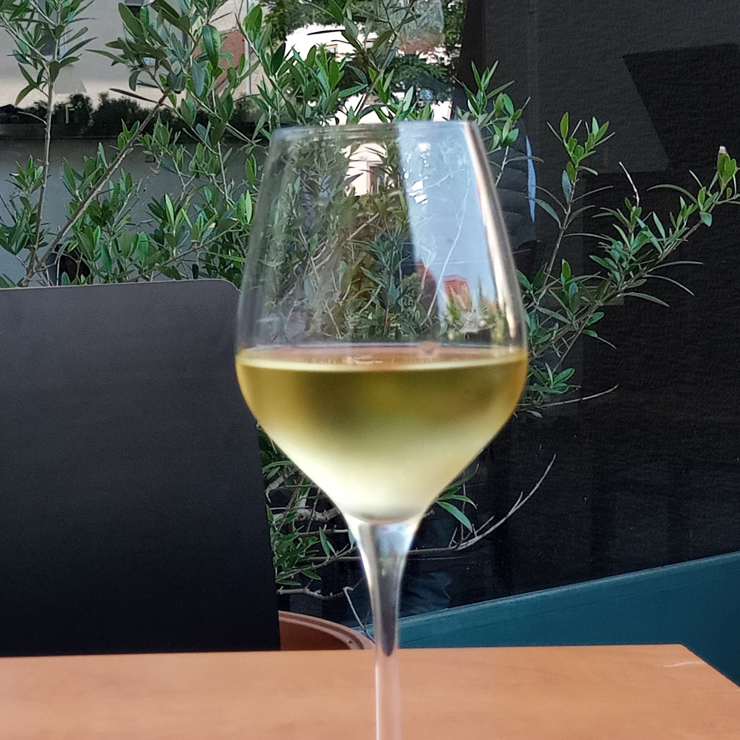Genießen Sie diesen schmackhaften Weißwein Genießen Sie diesen schmackhaften Weißwein