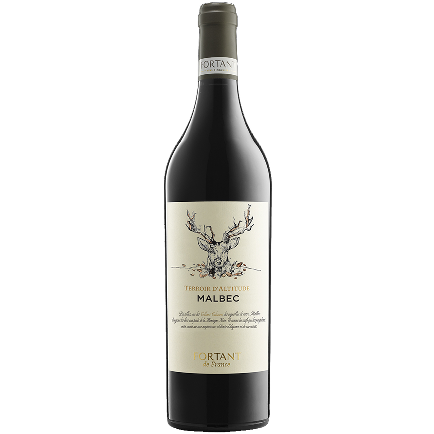 Terroir d'Altitude Malbec 2020 Fortant de Fr Terroir d'Altitude Malbec 2020 Fortant de Fr
