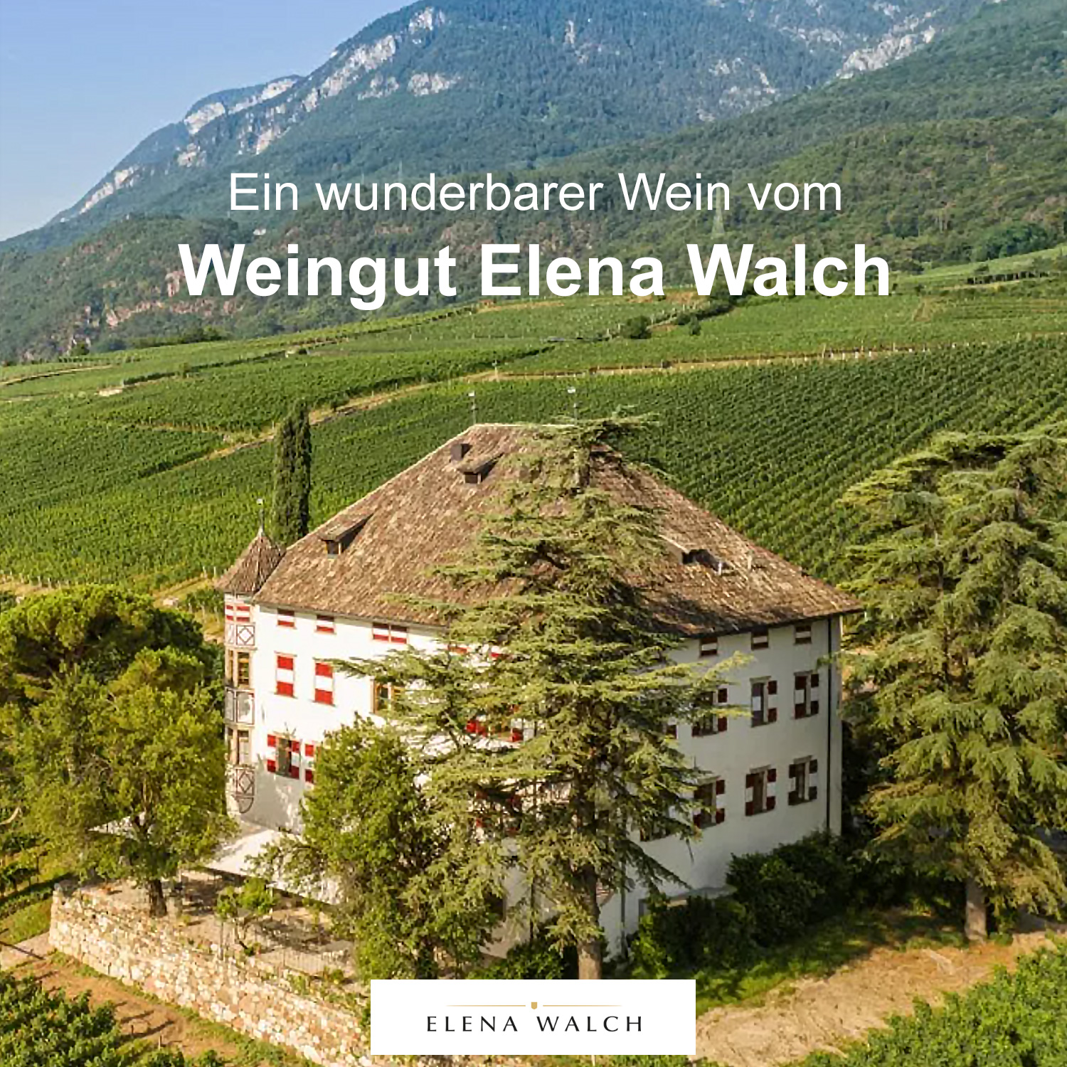 Ein wunderbarer Wein vom Weingut Walch Südtirol Ein wunderbarer Wein vom Weingut Walch Südtirol