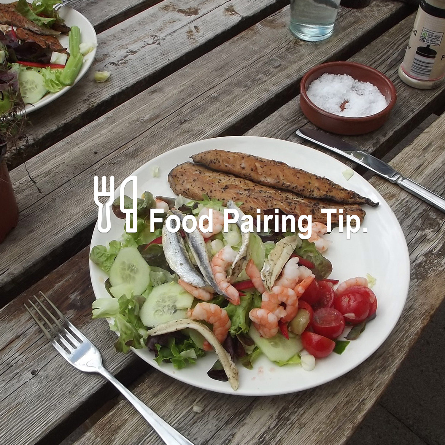 Meeresfrüchte zum perfekten Wein Meeresfrüchte zum perfekten Wein