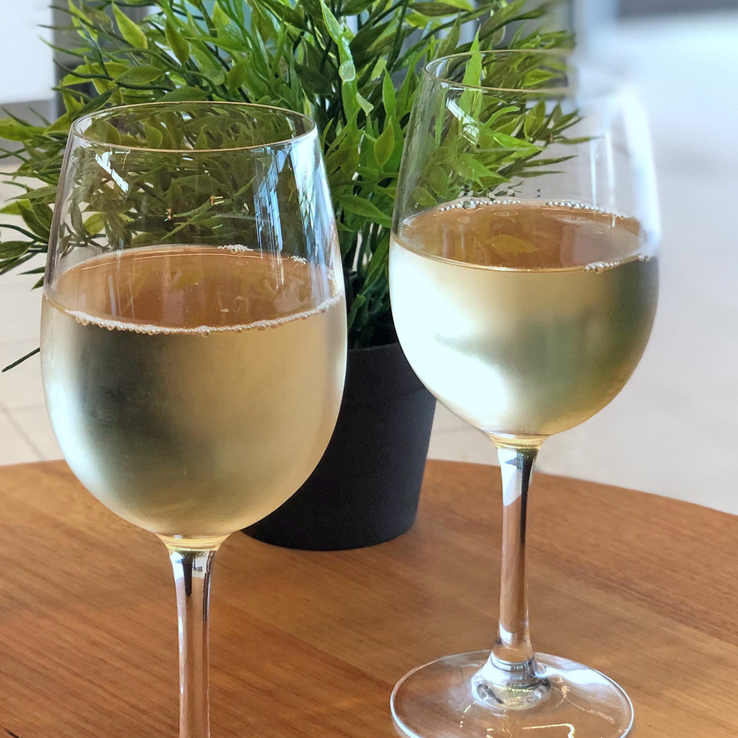 Genießen Sie diesen schmackhaften Weißwein Genießen Sie diesen schmackhaften Weißwein