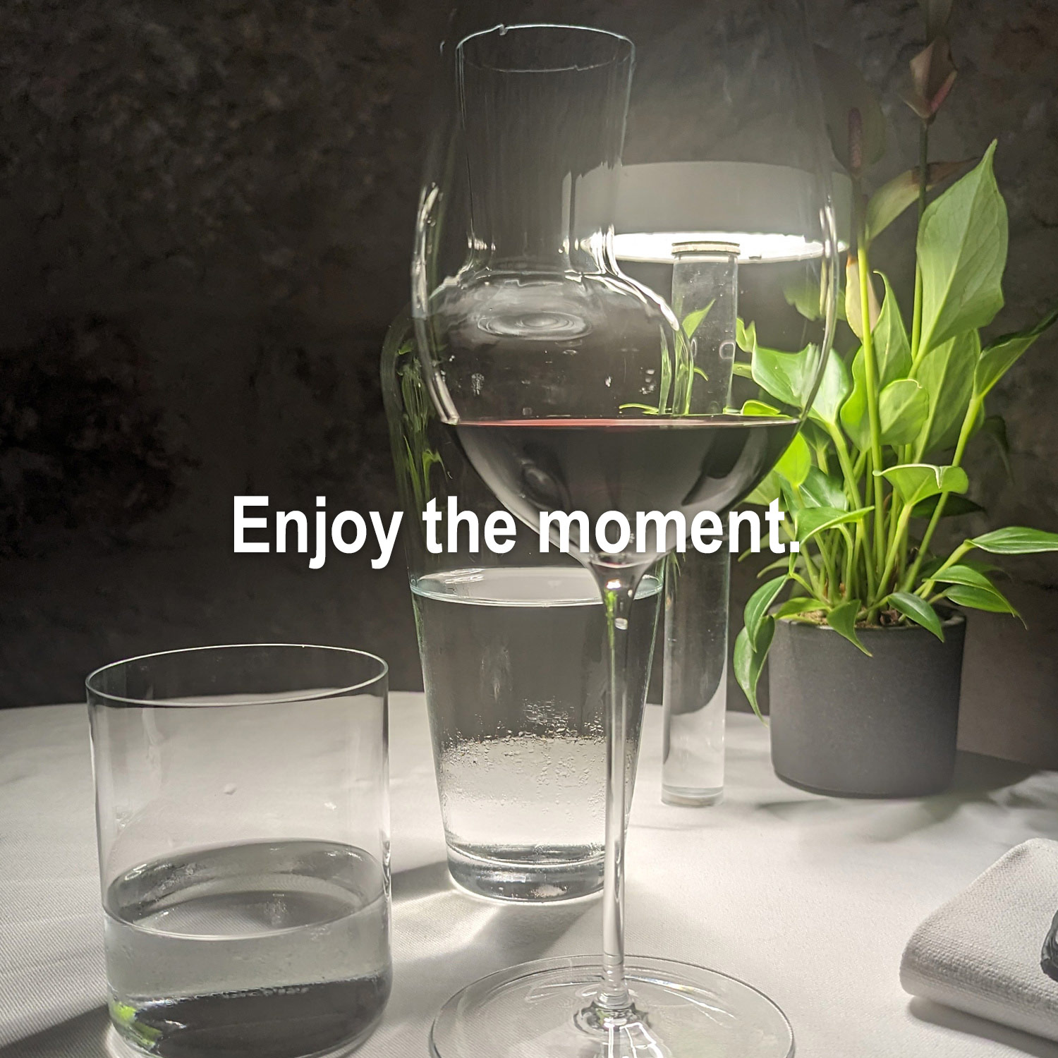 Ausgezeichnet köstlicher Rotwein Ausgezeichnet köstlicher Rotwein