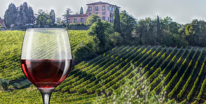 Weine aus der Toskana bei Vinum Nobile Weinhandel Weine aus der Toskana