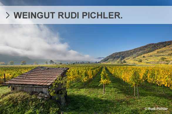 © Weingut Rudi Pichler  Österreich © Rudi Pichler Weingut