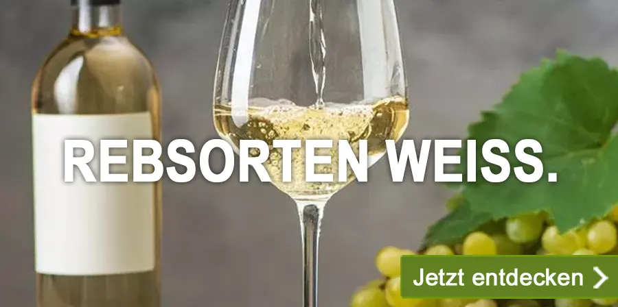 Wichtige Weißwein Rebsorten. Info, Profile, Produkte.