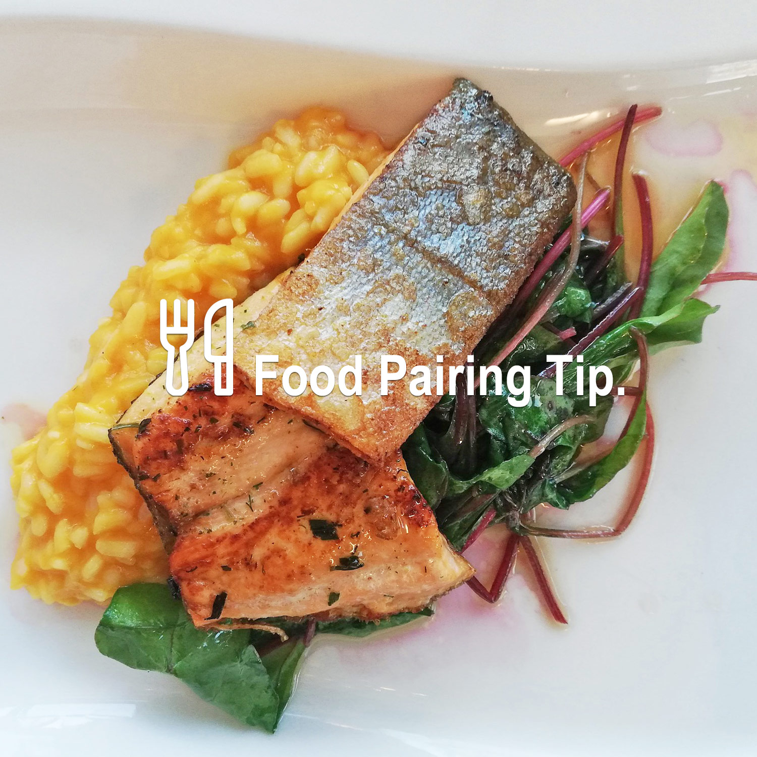 Passendes Essen zum wunderbaren Wein Passendes Essen zum wunderbaren Wein
