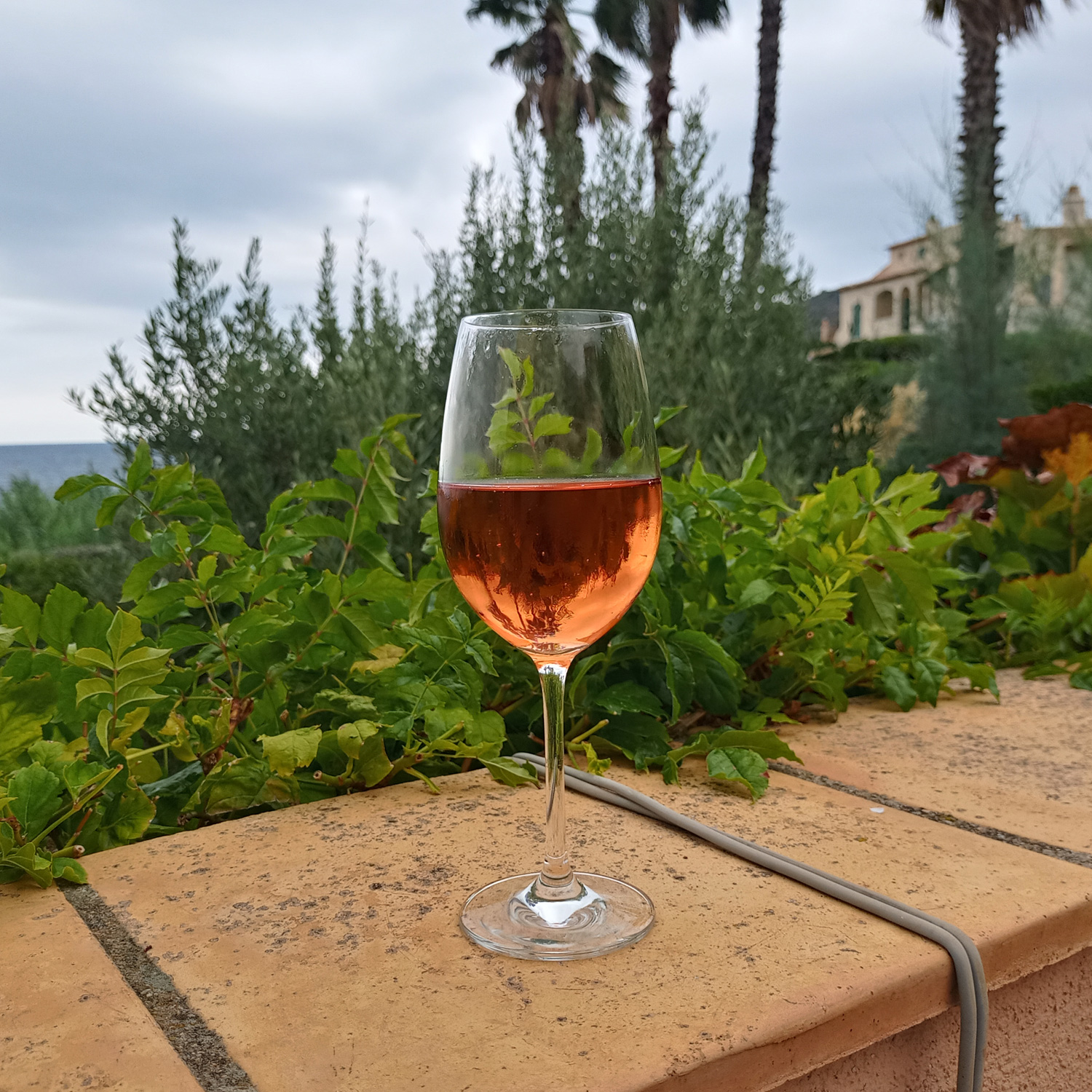 Genießen Sie diesen erfrischenden Roséwein Genießen Sie diesen erfrischenden Roséwein