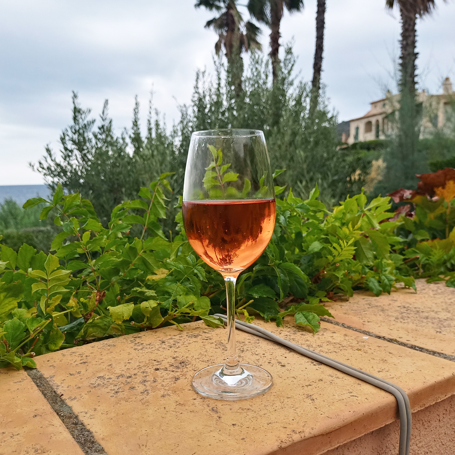 Genießen Sie diesen erfrischenden Roséwein Genießen Sie diesen erfrischenden Roséwein