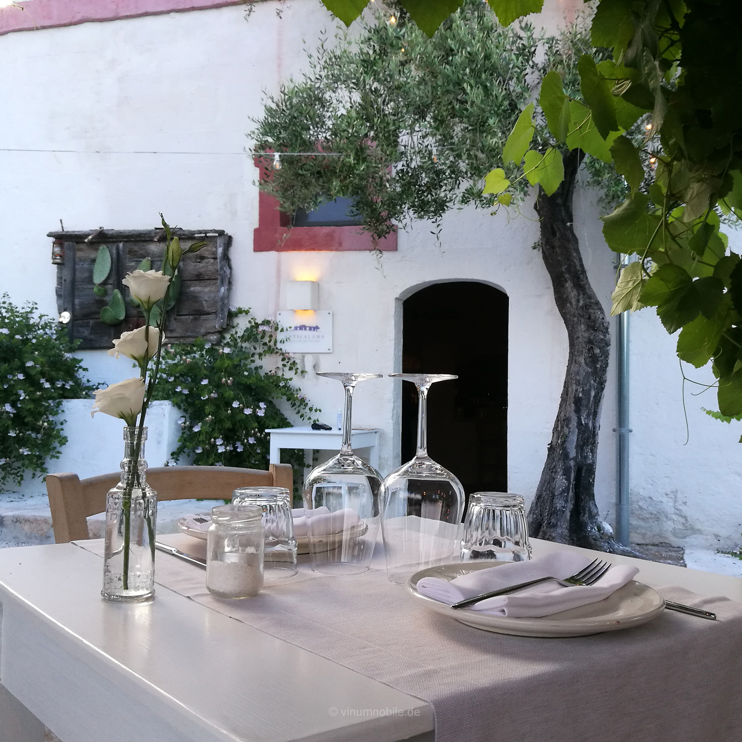 Ein perfekter Wein zum wunderbaren Essen Ein perfekter Wein zum wunderbaren Essen