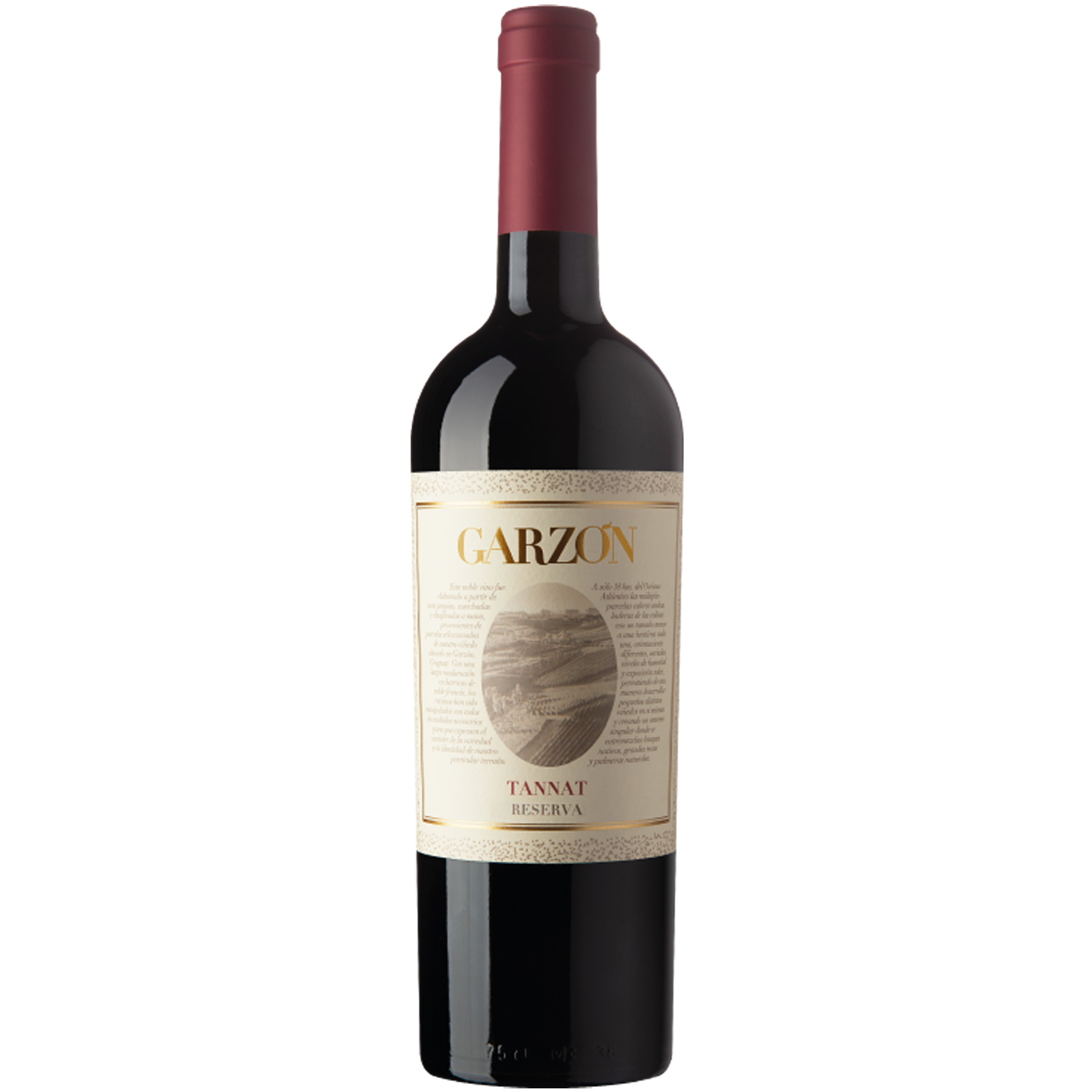 Garzon Tannat Reserva 2022