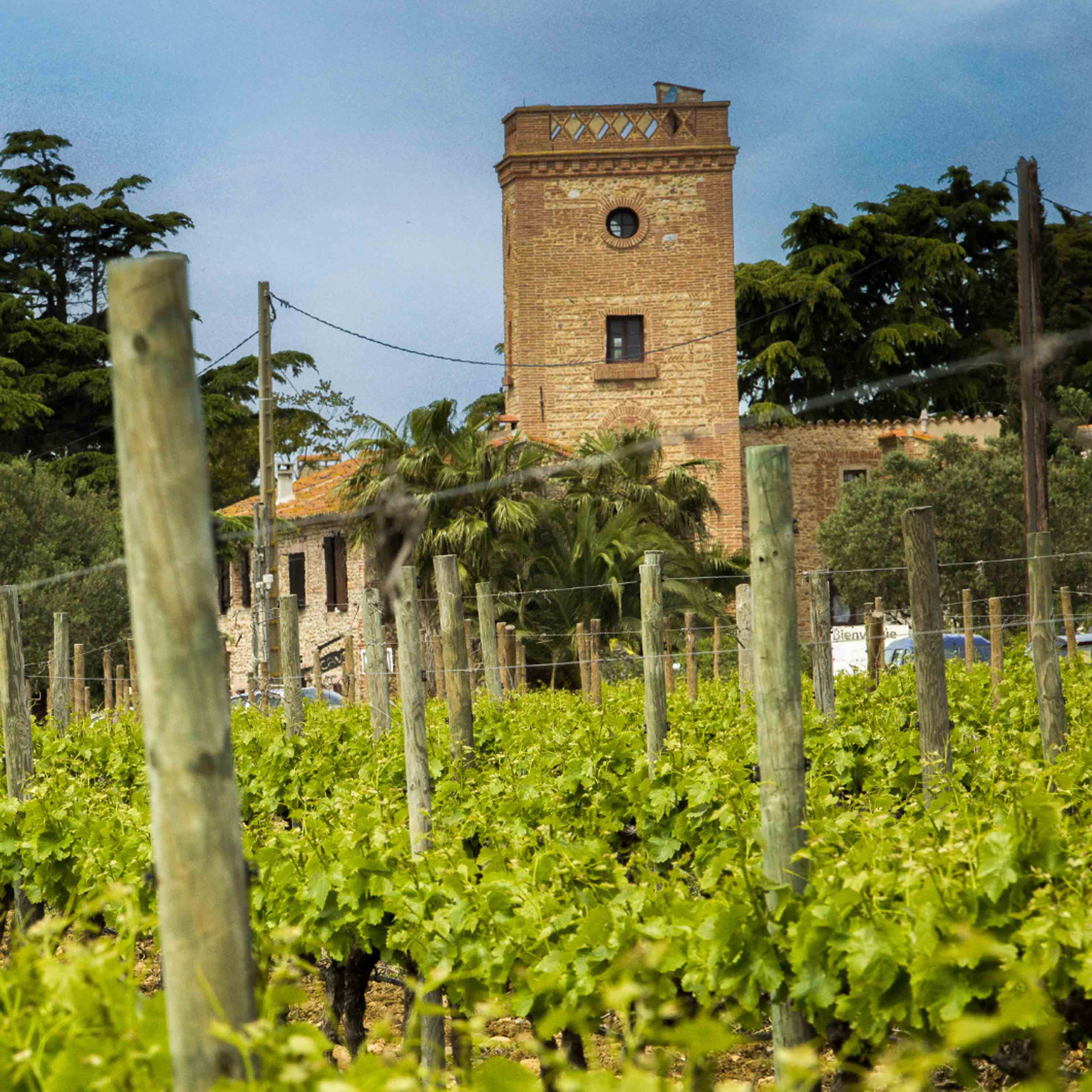 Domaine Lafage 6er Rotweinpaket 2