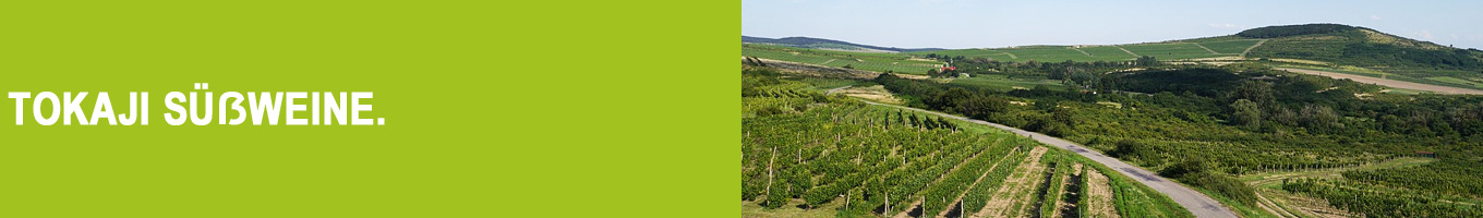 Tokajer Süßwein bei Vinum Nobile Tokajer Süßwein bei Vinum Nobile