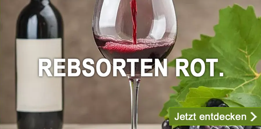 Wichtige Rotwein Rebsorten. Info, Profile, Produkte.