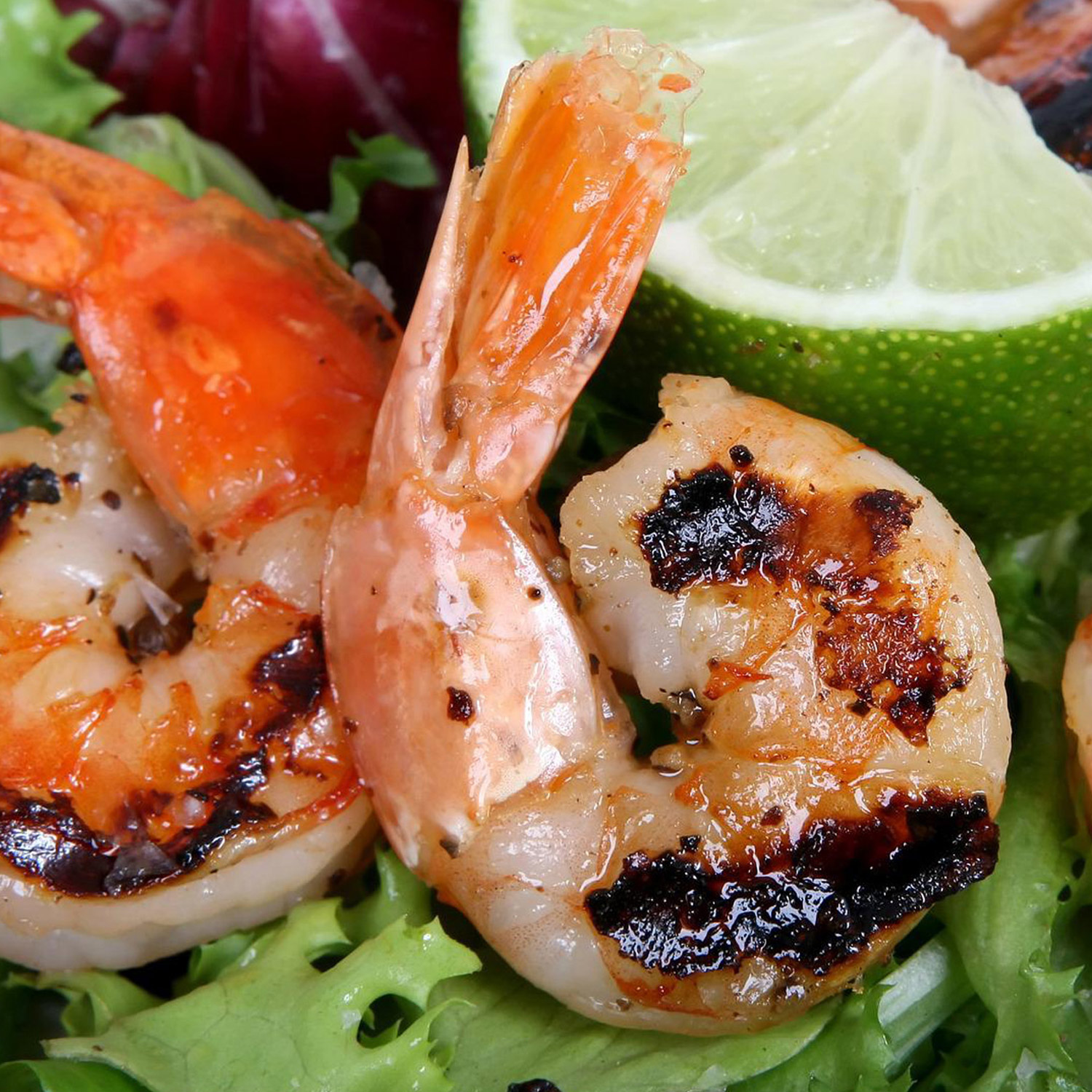 Passendes Essen zum wunderbaren Wein Passendes Essen zum wunderbaren Wein