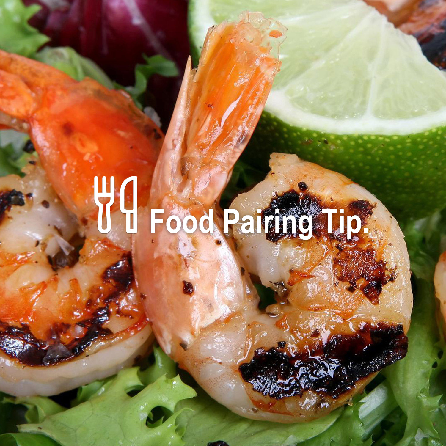 Passendes Essen zum wunderbaren Wein Passendes Essen zum wunderbaren Wein