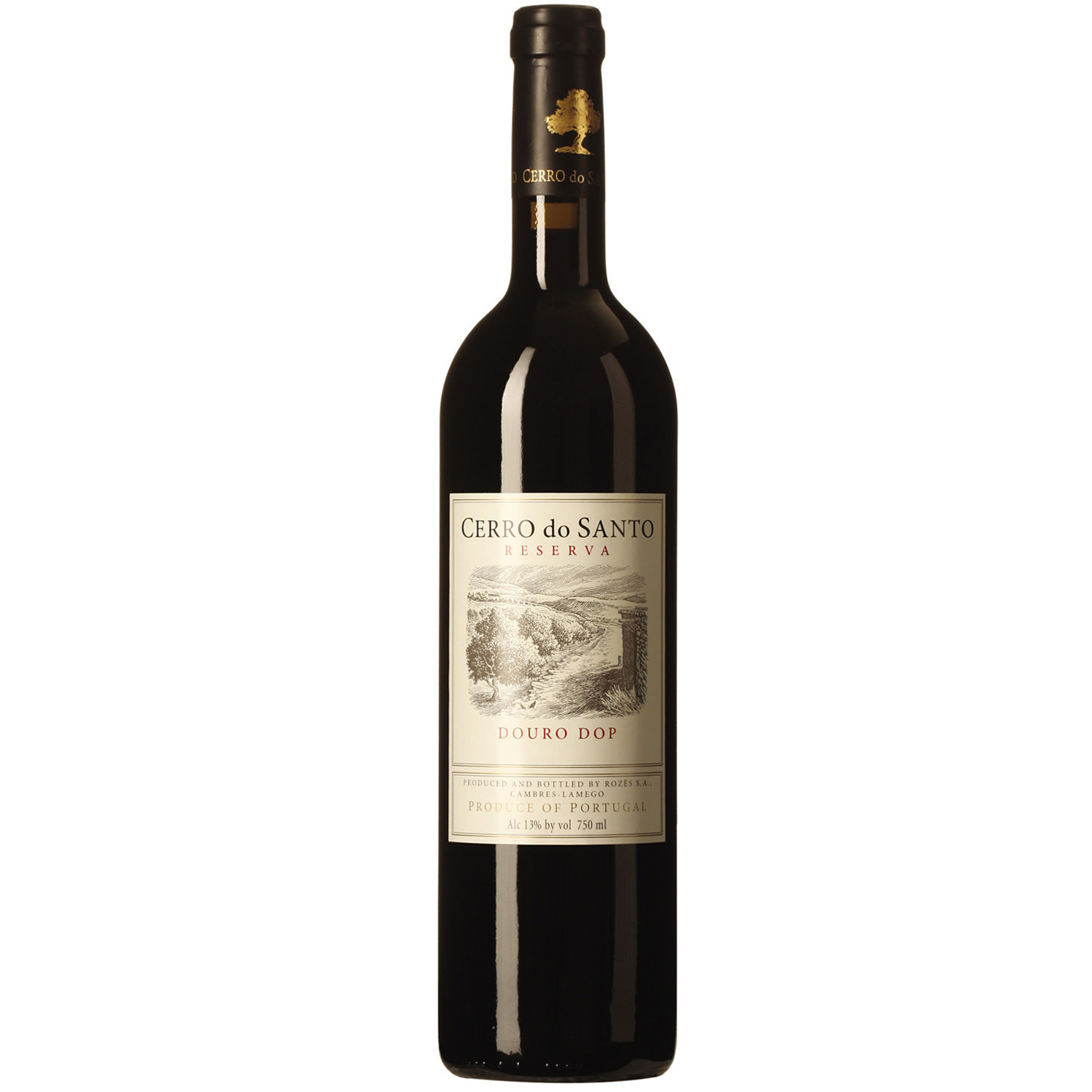 Portugiesischer  Rotwein Quinta do Pego Cerro do Santo Reserva Douro 2013 Portugiesischer  Rotwein Quinta do Pego Cerro do Santo Reserva Douro 2013