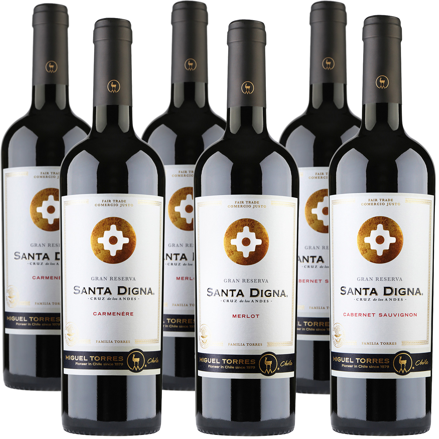 6er Rotwein-Paket Santa Digna von Familia Torres/Chile