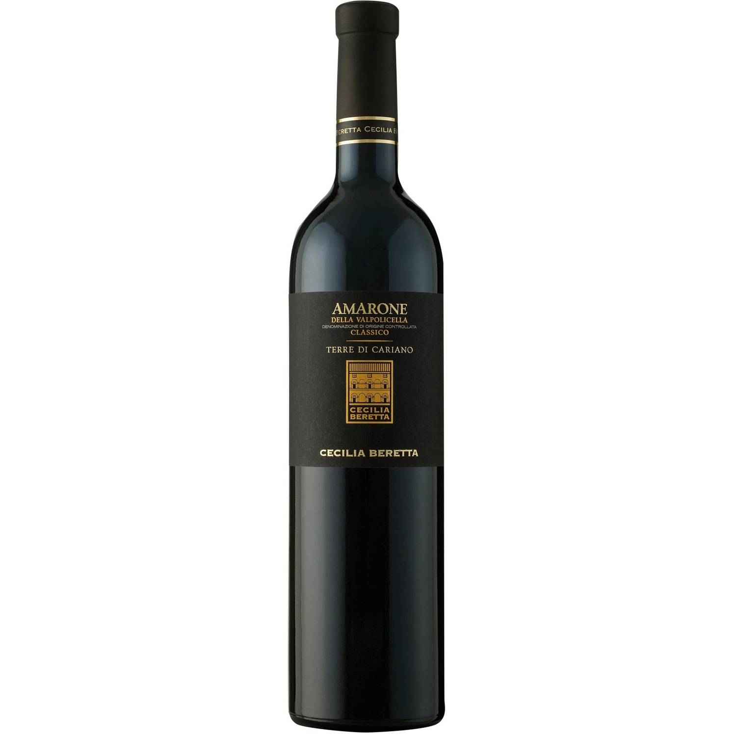 Italienischer Rotwein Amarone della Valpolicella Classico Terre di Cariano Riserva 2013