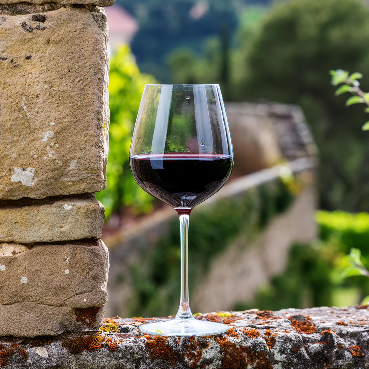 Ausgezeichnet köstlicher Rotwein Ausgezeichnet köstlicher Rotwein
