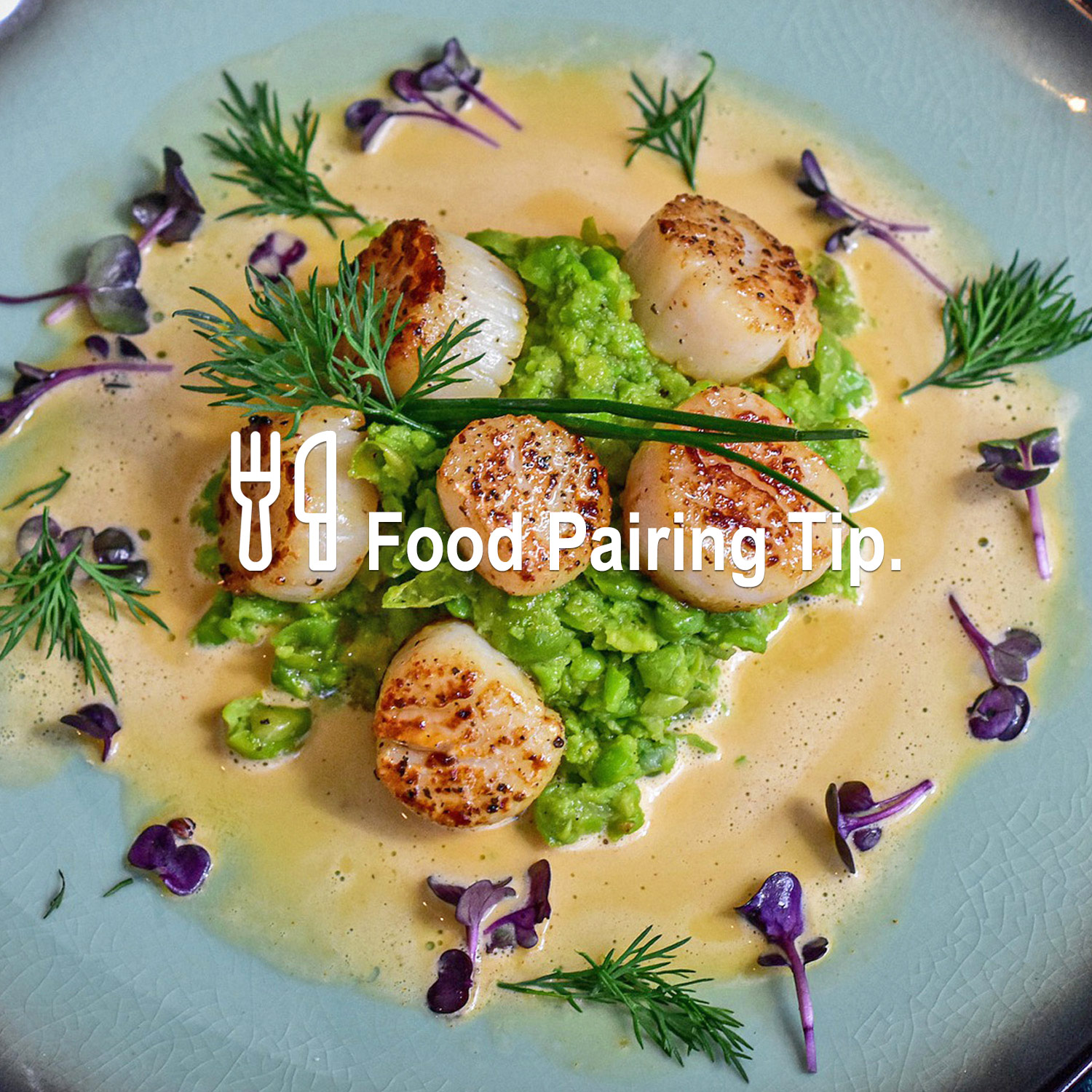 Passendes Essen zum wunderbaren Wein Passendes Essen zum wunderbaren Wein