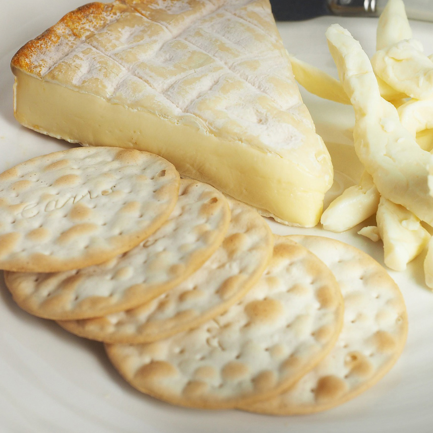 Passender Käse zum köstlichen Wein Passender Käse zum köstlichen Wein